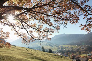 © Kleinwalsertal Tourismus eGen • Photographer: Frank Drechsel