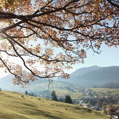 © Kleinwalsertal Tourismus eGen • Fotograf: Frank Drechsel