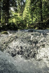 © Kleinwalsertal Tourismus eGen • Photographer: Oliver Farys