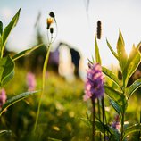 © Kleinwalsertal Tourismus eGen • Fotograf: Oliver Farys