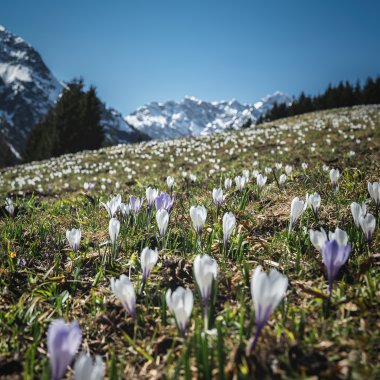 © Kleinwalsertal Tourismus eGen • Fotograf: Robert Niederwolfsgruber