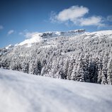 © Kleinwalsertal Tourismus eGen • Fotograf: Dominik Berchtold
