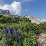 © Kleinwalsertal Tourismus eGen • Fotograf: Steffen Berschin