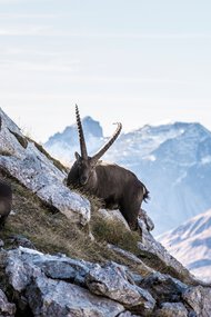 © Kleinwalsertal Tourismus eGen • Fotograf: Frank Drechsel