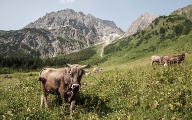 © Kleinwalsertal Tourismus eGen • Fotograf: Frank Drechsel
