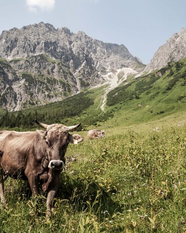 © Kleinwalsertal Tourismus eGen • Fotograf: Frank Drechsel