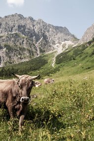 © Kleinwalsertal Tourismus eGen • Fotograf: Frank Drechsel