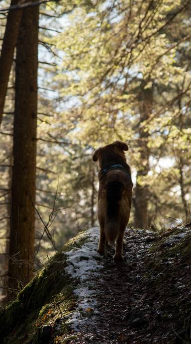 © Kleinwalsertal Tourismus eGen • Photographer: Lukas Rinner