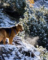 © Kleinwalsertal Tourismus eGen • Photographer: Lukas Rinner